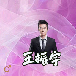 王振宇